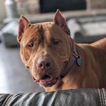 Thumbnail photo of Jerri #1