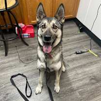 Thumbnail photo of Luna #2