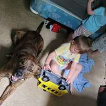 Thumbnail photo of Dexter #3