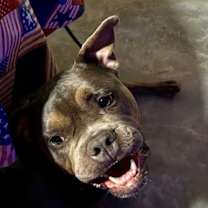 Thumbnail photo of Lala #3