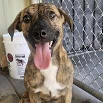 Thumbnail photo of Barnaby #2