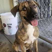 Thumbnail photo of Barnaby #3