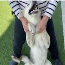 Thumbnail photo of Sunshine #1