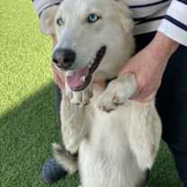 Thumbnail photo of Sunshine #2