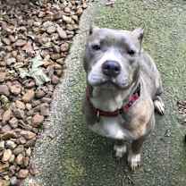 Thumbnail photo of Baylee #2