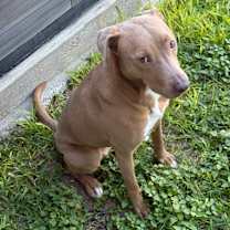 Thumbnail photo of Ivey #2