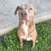 Thumbnail photo of Ivey #3