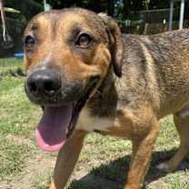 Thumbnail photo of Frank #1