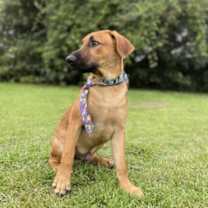 Thumbnail photo of Archer #2