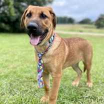 Thumbnail photo of Archer #3