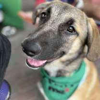 Thumbnail photo of Chowder #2