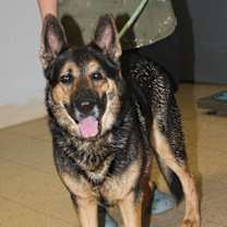 Thumbnail photo of Texas #1