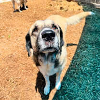 Thumbnail photo of Dawn & Rae #3