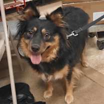 Thumbnail photo of Margie   SPECIAL NEEDS #1