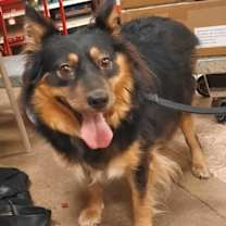 Thumbnail photo of Margie   SPECIAL NEEDS #2