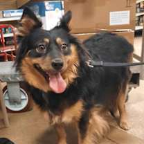 Thumbnail photo of Margie   SPECIAL NEEDS #3