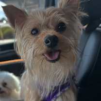 Thumbnail photo of Stormie #1