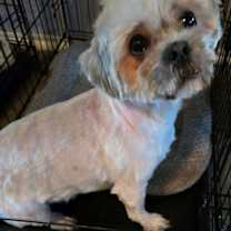 Thumbnail photo of Andy #3