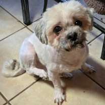 Thumbnail photo of Andy #1