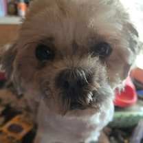 Thumbnail photo of Andy #4