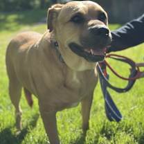 Thumbnail photo of Hercules #2