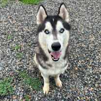 Thumbnail photo of Pac-Man #3