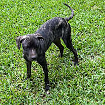 Thumbnail photo of Serena. c - Sweet girl! 🩷 #4