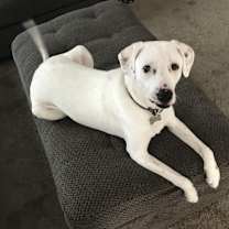 Thumbnail photo of Grace #3