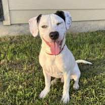 Thumbnail photo of FLASH #4