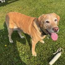 Thumbnail photo of Teal #1