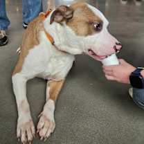 Thumbnail photo of Danny #2