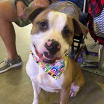 Thumbnail photo of Danny #3