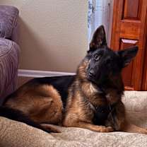 Thumbnail photo of Shadow #3