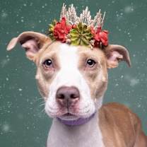 Thumbnail photo of Love #1