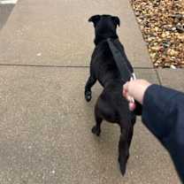 Thumbnail photo of Melvin #2