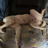 Thumbnail photo of Winnie #2