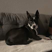 Thumbnail photo of Raya #1