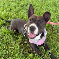 Thumbnail photo of Freya #2