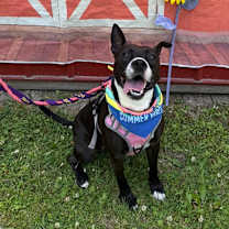 Thumbnail photo of Freya #4