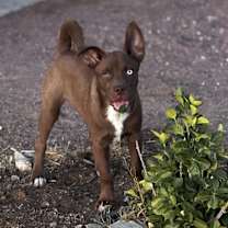 Thumbnail photo of Liam #1