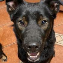 Thumbnail photo of Wilfred #2