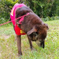 Thumbnail photo of Blackey VI #3