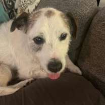 Thumbnail photo of Spot #2