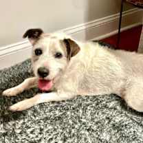 Thumbnail photo of Spot #4