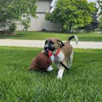 Thumbnail photo of Whiskey #3