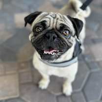 Thumbnail photo of Leroy Brown #3