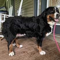 Thumbnail photo of Cynthia #2