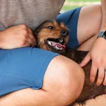 Thumbnail photo of Helly #4