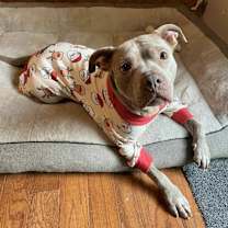 Thumbnail photo of Junie B Jones #2