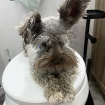 Thumbnail photo of Hercules #2